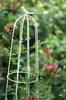 Soporte para Plantas Trepadoras con Forma de Jaula para Pájaros Redonda para Rosas y Clemátides, Soporte para Flores Jaula para Pájaros Estilo Vintage, Soporte para Macetas de Balcón, Maceta de Tamaño Mediano