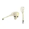 Conjunto de Três Peças de Esqueleto para Halloween com Cabeça de Caveira, Adereços de Esqueleto Realistas para Decoração de Jardim de Halloween