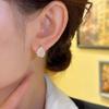 Aretes de Gota de Agua de Doble Cara Ojo de Gato Transparente Hielo de Diseño Nicho, Aretes Exquisitos y Versátiles, Lujo Accesible y Aretes Simples