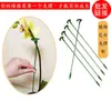 Suporte de Haste de Suporte para Planta Suculenta Orquídea para Vasos, Suporte para Modelagem de Flores, Estrutura Antiatropelamento e Proteção de Folhas para Plantas Verdes