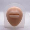 Modelo de Orelha em Silicone para Piercing, Piercings de Nariz, Piercings na Língua, Treinamento de Umbigo, Poses, Ferramenta de Exibição, Simulação 3D