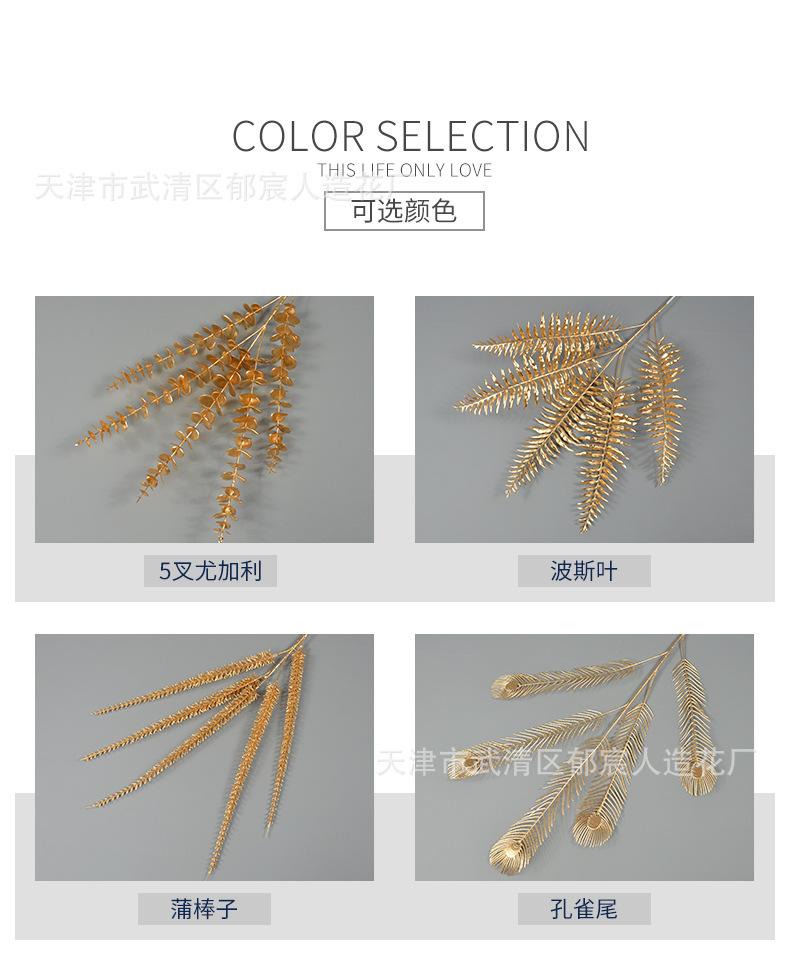 详情_02.jpg