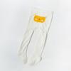 Leggings Grandes PP para Bebé Algodón para Bebé Pantimedias de Primavera y Otoño Pantimedias para Niños y Niñas Pantimedias para Trasero de Niños Pequeños