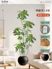 Plantas Verdes Artificiais de Alta Qualidade para Decoração de Sala de Estar, Planta Realista Falsa de Figueira-da-Índia Preta para Decoração de Sala de Transmissão ao Vivo