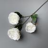 Rosas Simuladas Decoración de Arco para el Salón de Banquetes Austin Flor Artificial Flor de Boda Rosa de 3 Cabezas Rosas