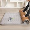 Colchón Nuevo de Dormitorio de Doble Cara Colchoneta de Ratán de Hielo Estudiante Dormitorio Individual Cama Doble Colchoneta de Colchón Colchoneta de Colchón para Cuatro Estaciones