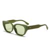 Óculos de Sol Novos Transfronteiriços Temu Formato Côncavo Moda Ins Óculos de Sol Olho de Gato Óculos de Sol de Alta Qualidade Femininos Masculinos