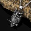 Colgante de acero inoxidable con forma de calavera de búho transfronterizo, tendencia al por mayor, collar de acero de titanio vikingo para hombre, joyería de moda