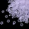 Lantejoulas Foscas Frescas e Transparentes em Formato de Flores de Ameixeira e Estrelas de Cinco Pontas, Adesivos Epóxi para Maquiagem dos Olhos, Materiais DIY para Arte de Unhas