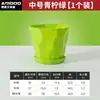 Macetetas Sencillas al por Mayor Hechas de Material de PP Engrosado, Fuertes y Resistentes a la Presión, con Fondo Transpirable para Prevenir la Pudrición de Raíces, y Vienen con un Plato para Plantas Verdes