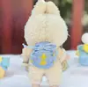 [Apenas Roupas de Boneca] Caixa Surpresa de Segunda Geração La Bubu 17cm Roupas Pingente de Rosto de Vinil Série Festa Sentada La Bubu Boneca