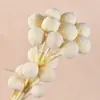 Bolas Doradas del Fabricante, Flores Naturales Reales, Materiales para Manualidades, Decoración del Hogar para la Sala de Estar, Arreglos Florales, Adornos de Flores Secas, Martillos Dorados