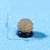 Paisagem em miniatura de comércio exterior transfronteiriço, pequeno coral que brilha no escuro, decoração de aquário oceânico, acessórios DIY, enfeites de garrafa ecológica