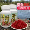 Cebo de Trigo Enganchado para Pesca Concentrada, Granos de Trigo Artificiales con Almizcle 75g, Pellets de Pesca Cebo Especial al por Mayor