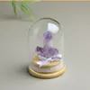 Pedra Bruta de Cristal Natural Citrino Ametista Dente de Cristal Aglomerado de Cristal Frasco dos Desejos Enfeites Paisagem em Miniatura de Mesa Enfeites Decorativos