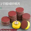 Disco Redondo Flockado de 1 pulgada 2 pulgadas 3 pulgadas Lija Fabricante Lijadora Neumática Hojas de Lija Flockada Paquete Suelto Discos para Lijadora de Aire Autoadhesivo