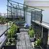Suporte para Videira Rack de Uva para Quintal ao Ar Livre Poste para Uva Pérgola de Uva para Pátio Montagem de Rack de Uva Rack de Rede de Trepadeira