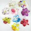 Grampo de Cabelo de Flor Artificial Transfronteiriço Grampo de Orquídea Clipe de Peça Única Noiva Madrinha Flor de Cabelo Acessórios de Cabelo para Férias na Praia