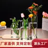 Jarrón de Vidrio Transparente Moderno y Sencillo Estilo Ins Flores Hidropónicas y Plantas Verdes Adornos para Arreglos Florales Micro Paisaje Botella Ecológica