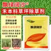 Especial para Remover Centopeias de Folhas Largas, Folhas Redondas, Perfumadas e Aquáticas de Gramados de Grama Manila no Green Garden