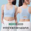 Ropa interior para el desarrollo de niñas, Chaleco deportivo anti-golpes con forma de I para estudiantes de secundaria, Sujetador cómodo y transpirable