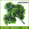 Folhas artificiais, folhas de figueira, folhas de bétula, galhos falsos para decoração, folhas de álamo, trepadeiras de árvore de jardim de engenharia, folhas de cipó secas