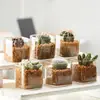 Jarrón de Cristal Transparente Moderno y Sencillo Venta al por Mayor Suculentas Cactus Planta Hidropónica Maceta Cuadrada Botella Ecológica de Jardinería