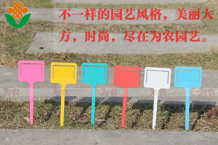 照片 10744