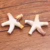 Variedad de Estrellas de Mar Artificiales Acrílicas, Conchas Marinas, Serie Marina para Pulseras, Colgantes, Aretes, Accesorios de Joyería DIY