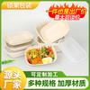 Lonchera desechable engrosada en forma de U degradable para llevar caja ligera para ensalada caja de embalaje 800ml lonchera desechable