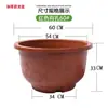 Maceta de Plástico Gruesa Extra Grande para Árboles Frutales Patio Exterior Calibre Maceta Jarra de Dragón