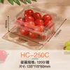 Caja de embalaje desechable para frutas con tapa, caja de embalaje de plástico para verduras frescas, caja transparente de grado alimenticio PET para frutas cortadas
