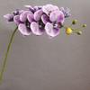 Simulación de 7 cabezas de Phalaenopsis, venta al por mayor en el extranjero, modelo moderno para casa, habitación, boda, hotel, estudio, flores decorativas