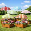 Sombrilla Popular Transfronteriza para Plantas de Amazon, Flor en Maceta, Sombrilla de Protección Solar, Aislada, Sombrilla de Protección para Plantas de Exterior en el Suelo