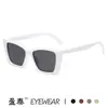 Gafas de Sol de Celebridad de Internet de Moda 2025 Estilo Simple Ins Personalidad Estilo Callejero Gafas Ojo de Gato para Mujer Gafas Transfronterizas