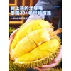 Almohada Dorada Tailandesa Durian Importado en Stock, Fruta Fresca, Entero 5kg con Cáscara, Disponible para Entrega Express