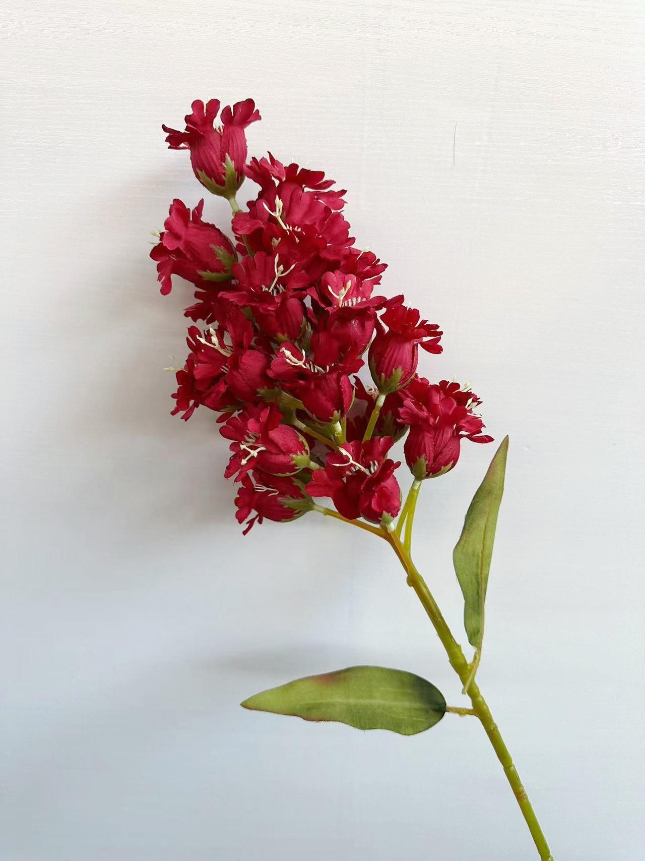 灯笼花红色