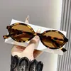 Gafas de Sol Lisas Estilo Celebridad de Internet Gafas de Sol Avanzadas Estilo Coreano Moda Retro Protector Solar Gafas de Sol Ovaladas