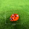 Musgo Luminoso Colorido Micro Paisaje Escena Papelería Decoración Accesorios para Joyería de Resina DIY Insecto Mariquita de Siete Estrellas