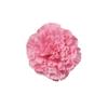 Cabeza de Flor de Clavel Flor Artificial Falsa Boda Hecho a Mano DIY Ramillete Accesorios para el Cabello Decoración de Escenario de Auditorio Pared de Flores Flores