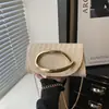 Bolso cruzado de hombro de moda para mujer 2026, nuevo diseño elegante y único, bolso de mano cuadrado pequeño casual y simple