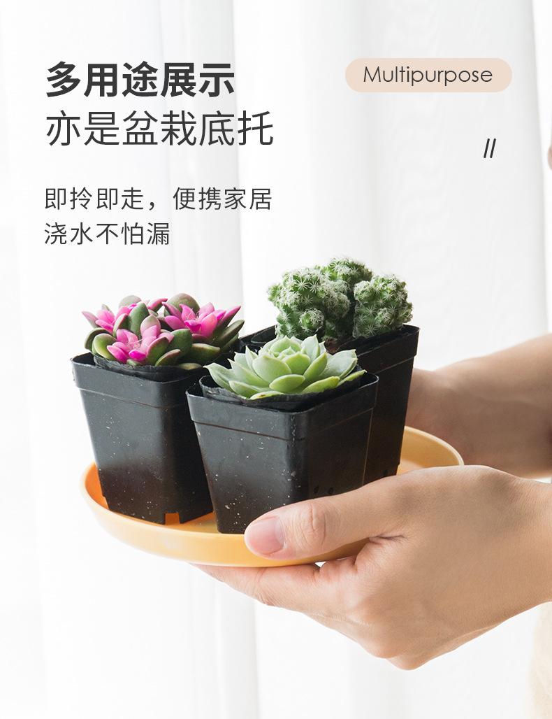 未标题-1_13.jpg
