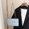 Bolsos Pequeños Populares para Mujeres de Este Año 2025 Nuevo Bolso de Hombro de Moda con Cadena de Lazo Textura Axila Bolso de Mujer
