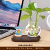 Jarrón Hidropónico Estilo Chino del Dios de la Fortuna con Figuras de Gato, Zhong Kui y Confucio, Regalos Culturales y Creativos, Decoración de Escritorio, Florero para Estación de Trabajo