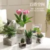 Aquário Quadrado Transparente Vaso de Flores para Plantas Verdes Hidropônicas, Copo Quadrado de Suculenta Palmeira Branca Arranjo de Flores Vaso de Flores Hidropônico Ornamento Criativo de Mesa