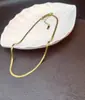 Popular Cadena de Hoja de Acero de Titanio Estilo Minimalista de Moda Pulsera Hueso de Serpiente Plana de Oro de 18 Quilates para Mujeres Ins Celebridad de Internet Collar de Moda Joyería