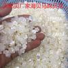 Concha Flor Vendas Diretas de Fábrica Ferradura Cinco Pétalas Escultura DIY Antigo 10mm