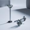 Aleación de Titanio G23 Zircón Pin Cabeza de Garras Joyería para Labios Stud de Labio Varilla Accesorios Comercio Electrónico Piercing Forma Geométrica Labio
