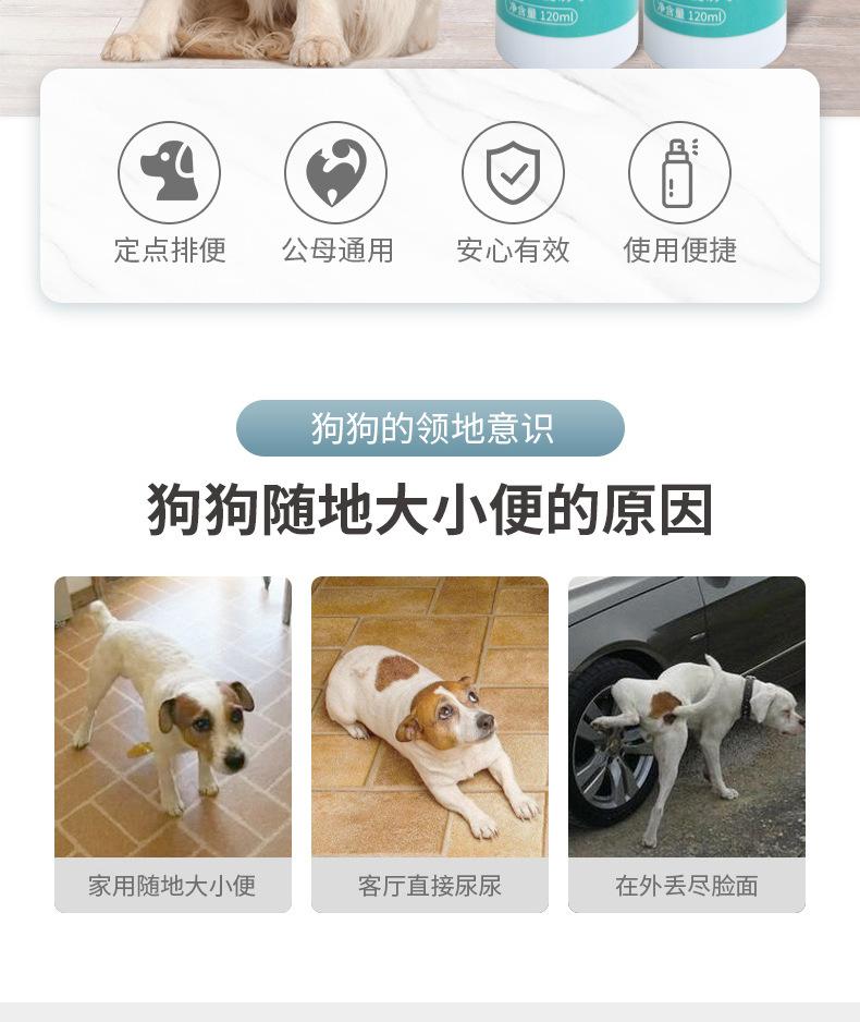 详情页_02.jpg