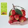 Modelo de Frutas e Vegetais de Simulação Ornamento de Maçã de Plástico Fruta do Dragão Manga Fruta Biônica Falsa Decoração Adereços de Exibição